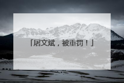 屠文斌，被重罚！