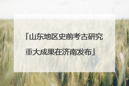 山东地区史前考古研究重大成果在济南发布