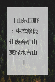 山东巨野：生态修复让废弃矿山变绿水青山