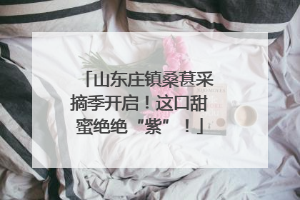 山东庄镇桑葚采摘季开启！这口甜蜜绝绝“紫”！