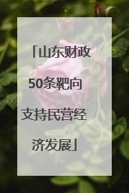 山东财政50条靶向支持民营经济发展