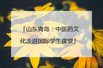 山东青岛：中医药文化走进国际学生课堂