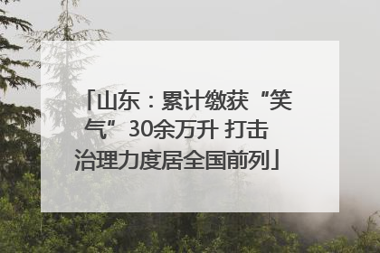 山东：累计缴获“笑气”30余万升 打击治理力度居全国前列
