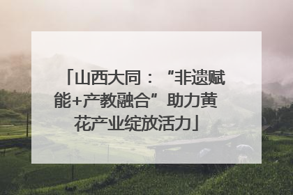 山西大同：“非遗赋能+产教融合”助力黄花产业绽放活力