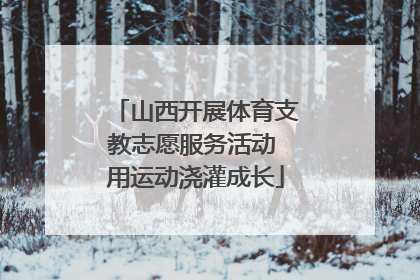 山西开展体育支教志愿服务活动 用运动浇灌成长