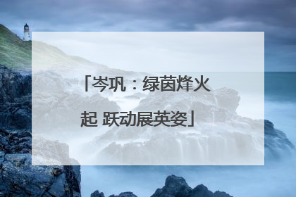 岑巩：绿茵烽火起 跃动展英姿