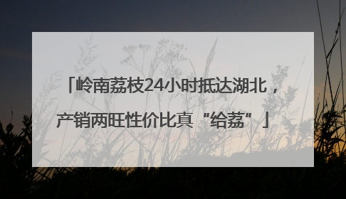 岭南荔枝24小时抵达湖北，产销两旺性价比真“给荔”