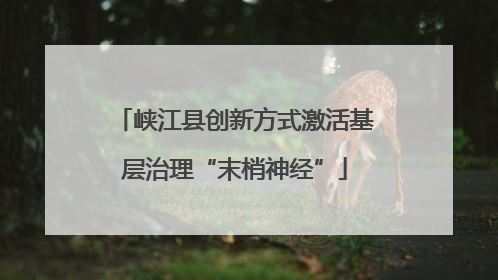 峡江县创新方式激活基层治理“末梢神经”