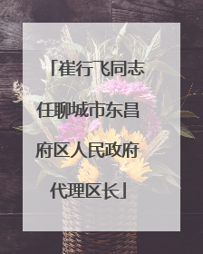 崔行飞同志任聊城市东昌府区人民政府代理区长