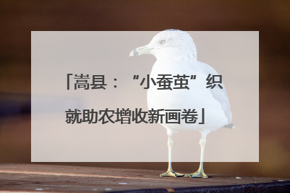 嵩县：“小蚕茧”织就助农增收新画卷