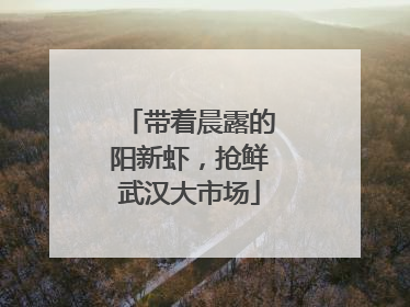 带着晨露的阳新虾，抢鲜武汉大市场