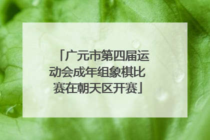 广元市第四届运动会成年组象棋比赛在朝天区开赛