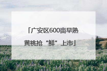 广安区600亩早熟黄桃抢“鲜”上市