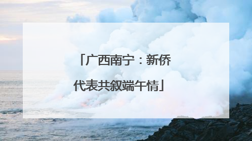 广西南宁：新侨代表共叙端午情