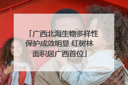 广西北海生物多样性保护成效明显 红树林面积居广西首位