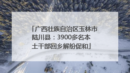 广西壮族自治区玉林市陆川县：3900多名本土干部回乡解纷促和
