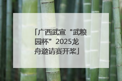 广西武宣“武粮园杯”2025龙舟邀请赛开桨