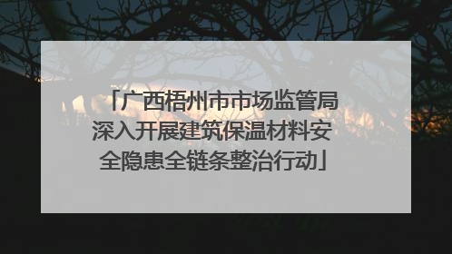 广西梧州市市场监管局深入开展建筑保温材料安全隐患全链条整治行动
