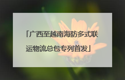 广西至越南海防多式联运物流总包专列首发
