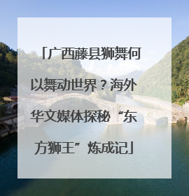 广西藤县狮舞何以舞动世界？海外华文媒体探秘“东方狮王”炼成记
