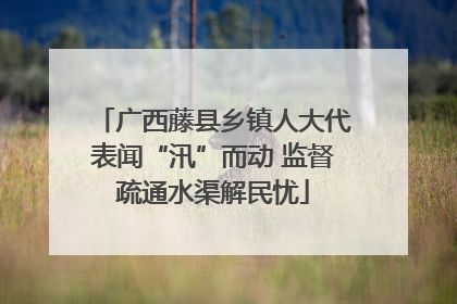 广西藤县乡镇人大代表闻“汛”而动 监督疏通水渠解民忧