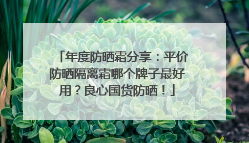 年度防晒霜分享：平价防晒隔离霜哪个牌子最好用？良心国货防晒！