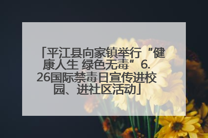 平江县向家镇举行“健康人生 绿色无毒”6.26国际禁毒日宣传进校园、进社区活动