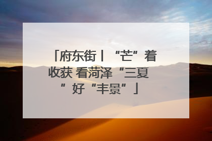 府东街丨“芒”着收获 看菏泽“三夏”好“丰景”
