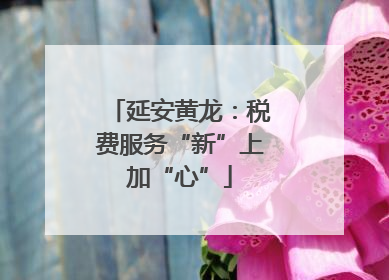 延安黄龙：税费服务“新”上加“心”