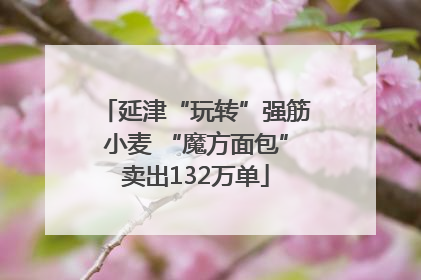 延津“玩转”强筋小麦 “魔方面包”卖出132万单