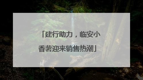 建行助力，临安小香薯迎来销售热潮