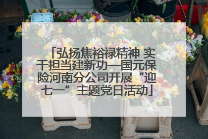 弘扬焦裕禄精神 实干担当建新功—国元保险河南分公司开展“迎七一”主题党日活动