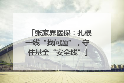 张家界医保：扎根一线“找问题”，守住基金“安全线”