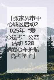 张家界市中心城区启动2025年“爱心送考”公益活动 528辆爱心车护航高考学子