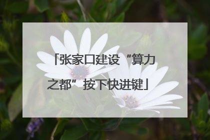 张家口建设“算力之都”按下快进键