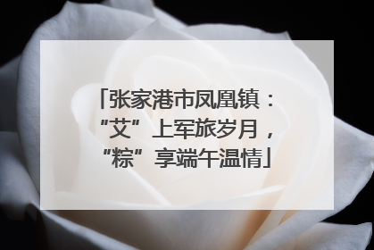 张家港市凤凰镇：“艾”上军旅岁月，“粽”享端午温情