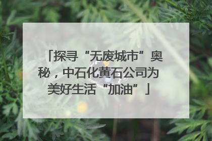 探寻“无废城市”奥秘，中石化黄石公司为美好生活“加油”