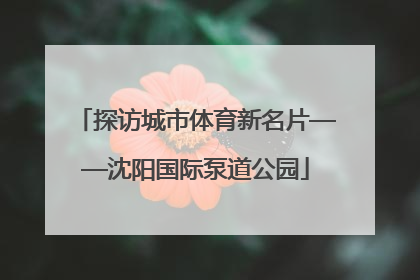 探访城市体育新名片——沈阳国际泵道公园