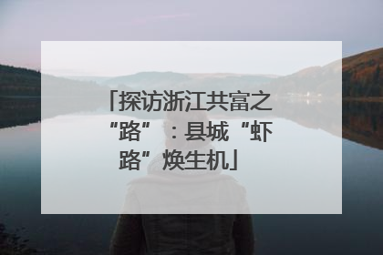 探访浙江共富之“路”：县城“虾路”焕生机