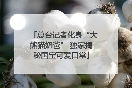 总台记者化身“大熊猫奶爸” 独家揭秘国宝可爱日常