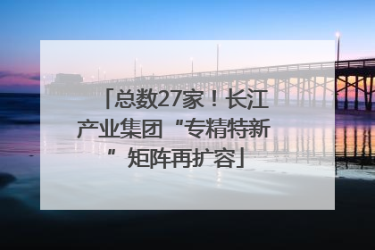 总数27家！长江产业集团“专精特新”矩阵再扩容