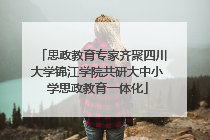 思政教育专家齐聚四川大学锦江学院共研大中小学思政教育一体化
