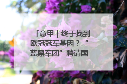 意甲｜终于找到欧冠冠军基因？“蓝黑军团”聘请国米名宿齐沃执教