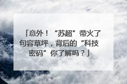 意外！“苏超”带火了句容草坪，背后的“科技密码”你了解吗？