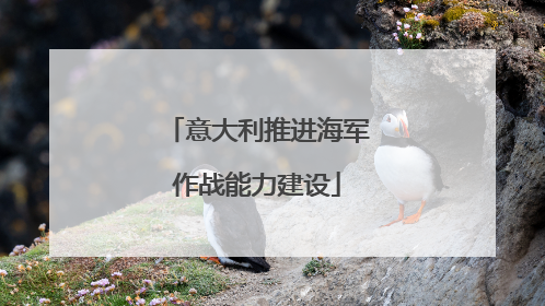 意大利推进海军作战能力建设