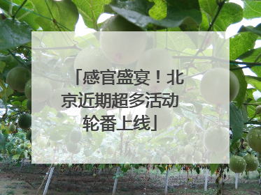 感官盛宴！北京近期超多活动轮番上线