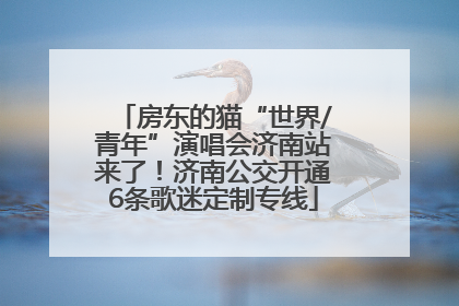 房东的猫“世界/青年”演唱会济南站来了！济南公交开通6条歌迷定制专线