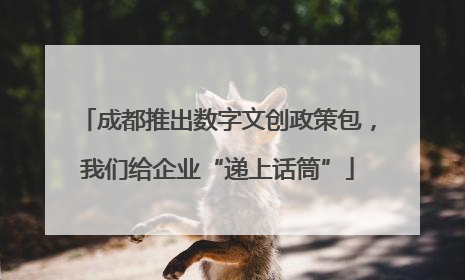 成都推出数字文创政策包，我们给企业“递上话筒”