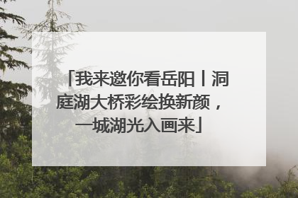 我来邀你看岳阳丨洞庭湖大桥彩绘换新颜，一城湖光入画来
