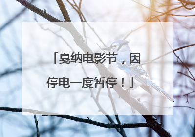 戛纳电影节，因停电一度暂停！